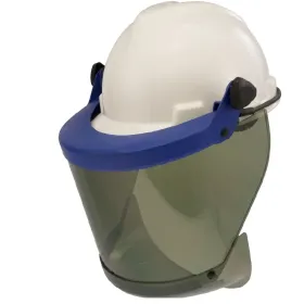 AMP1-12 HTS-VISOR 12CAL